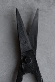 Iron Scissors