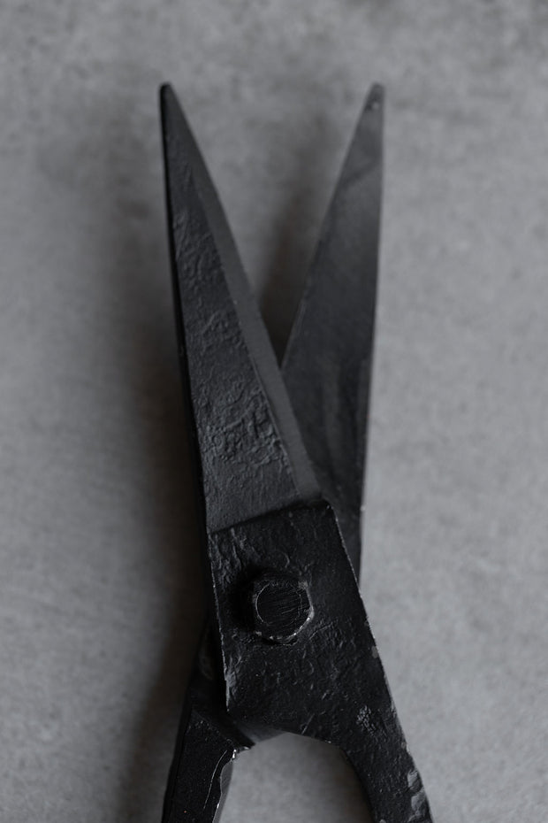 Iron Scissors