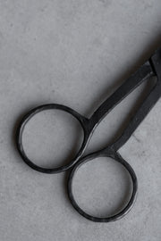 Iron Scissors