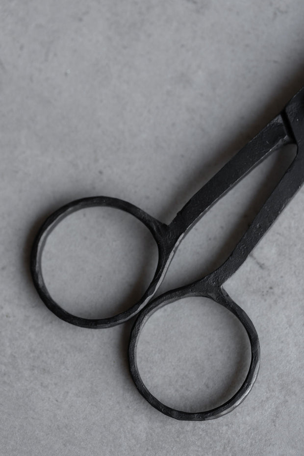 Iron Scissors