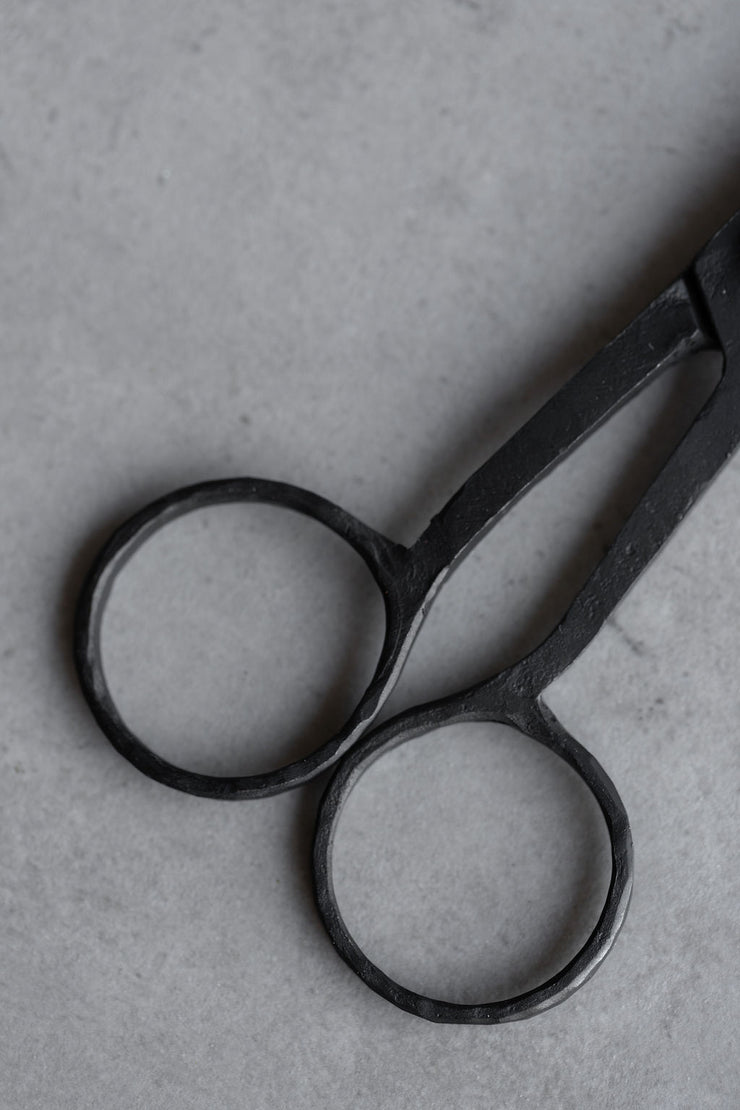Iron Scissors