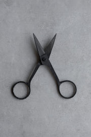 Iron Scissors