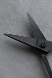 Iron Scissors