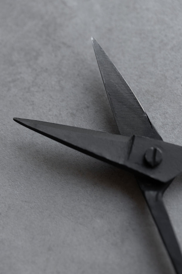 Iron Scissors