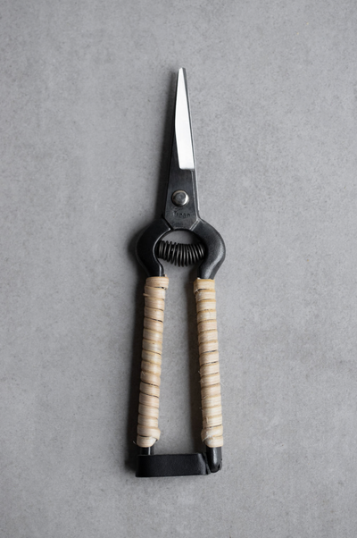 Japanese Rattan Snips