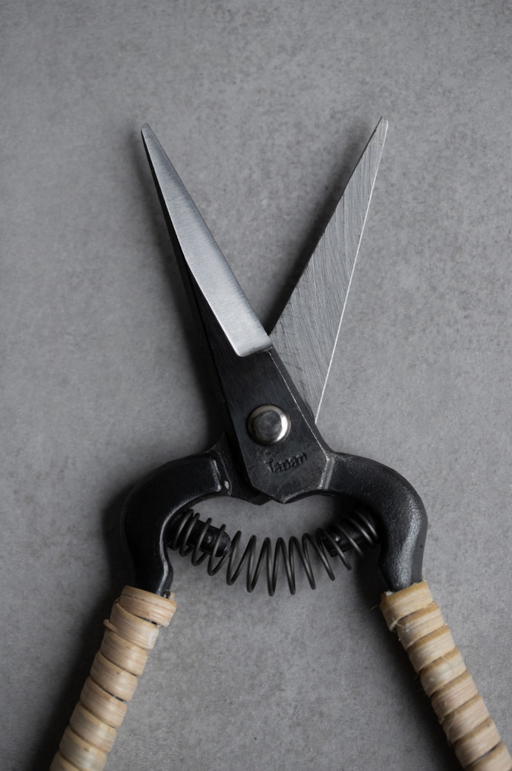 Japanese Rattan Snips