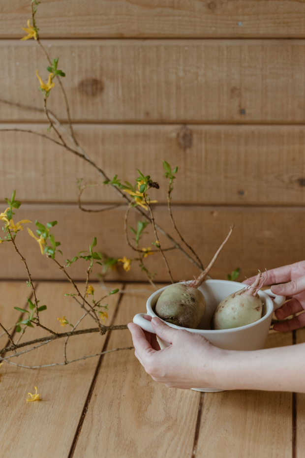 Ceramic Berry Colander