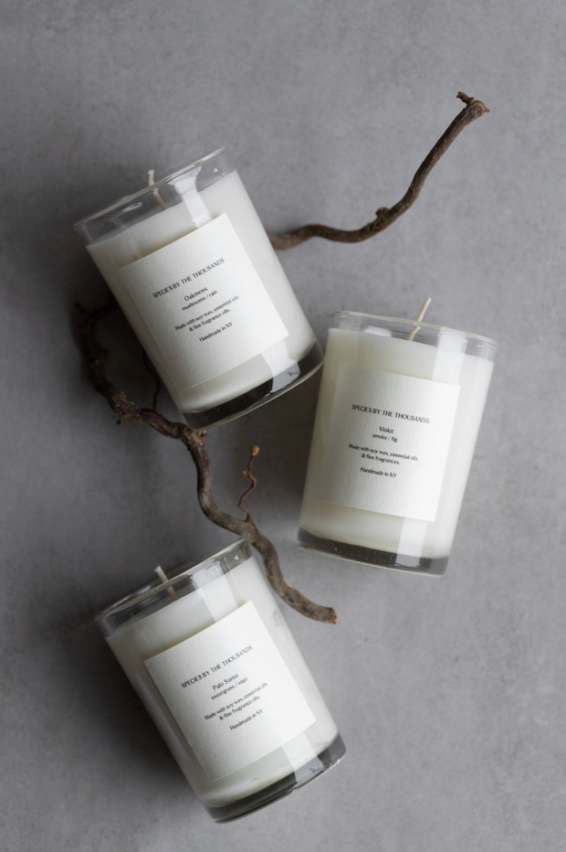 Palo Santo Candle
