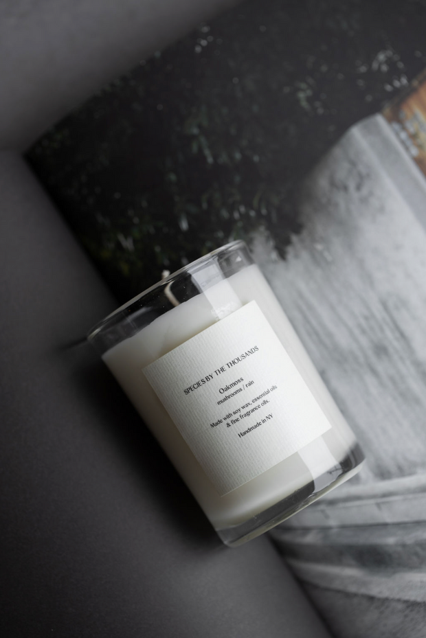 Oakmoss Candle