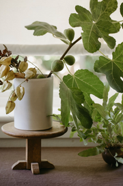 Ceramic Utensil Holder - Chalk