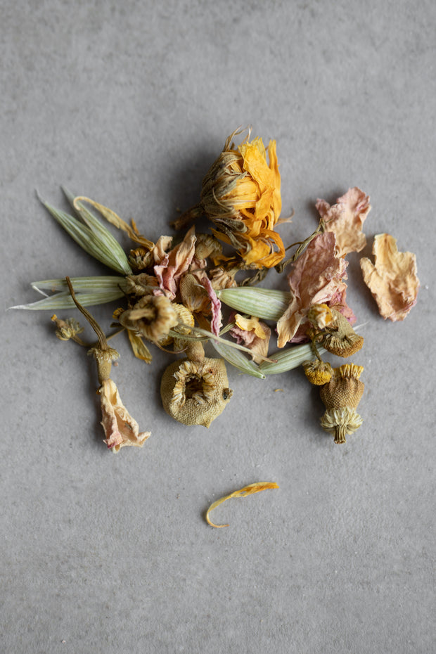 Doju Moon Tea // Assorted
