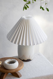 Custom Notary Lighting Collection #174