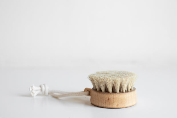 Bath Brush Puck