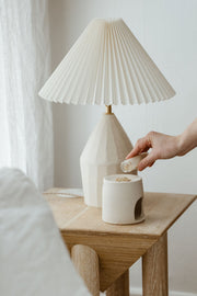 Custom Notary Lighting Collection #285