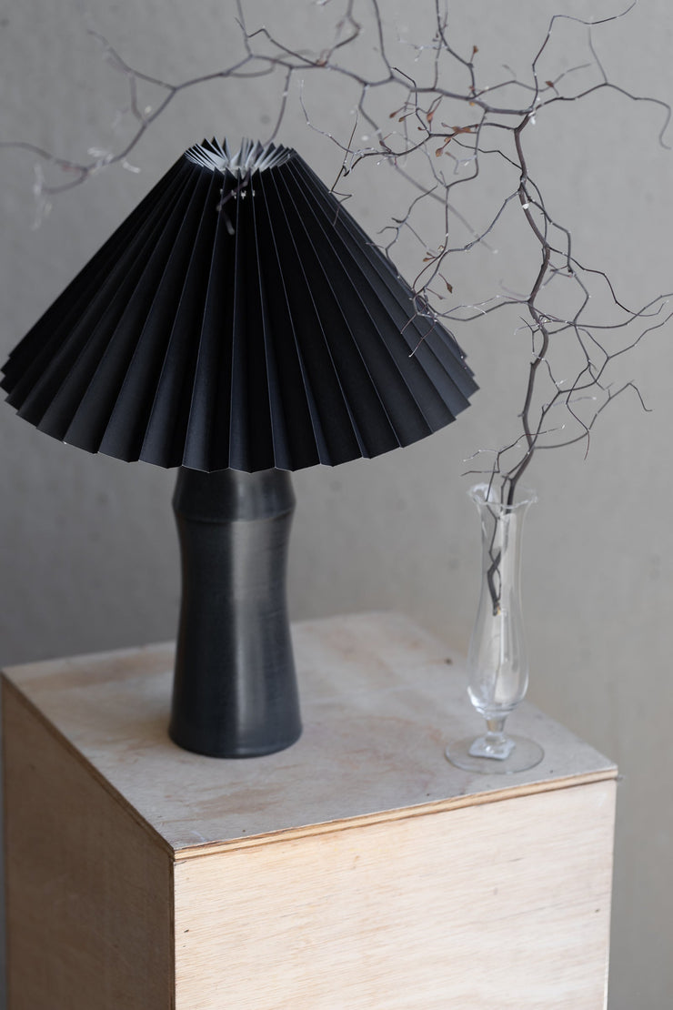 Custom Notary Lighting Collection #140