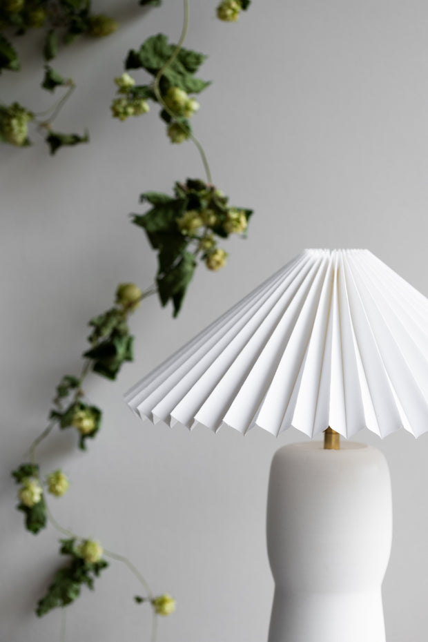 Custom Notary Lighting Collection #169