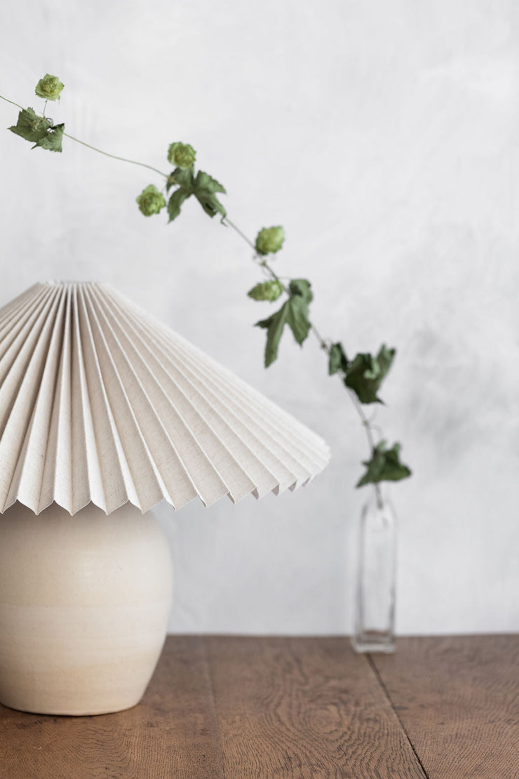 Custom Notary Lighting Collection #276