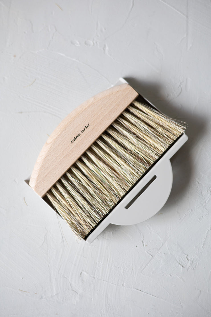 Hand Brush & Dust Pan